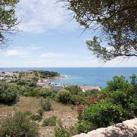 Villa Urania Torre San Giovanni Ugento Dış mekan fotoğraf